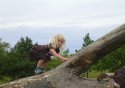 Klik for fuld størrelse