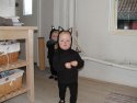 Klik for fuld størrelse