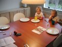 Klik for fuld størrelse