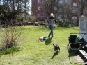 Klik for fuld størrelse