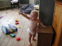 Klik for fuld størrelse