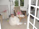 Klik for fuld størrelse