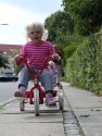 Klik for fuld størrelse